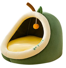 Party Supplies cover