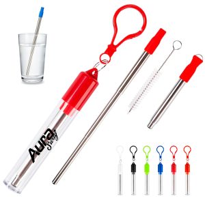 Portable Reusable Metal Straw with Keychain Case