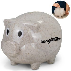 Plastic Piggy Bank Coin Saver