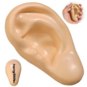 Human Ear Anatomy PU Foam Stress Reliever Toy